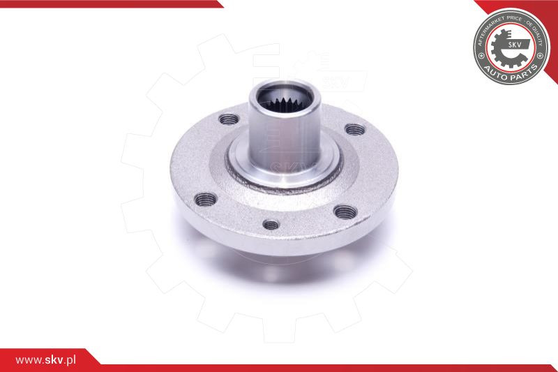 ESEN SKV Radlagersatz