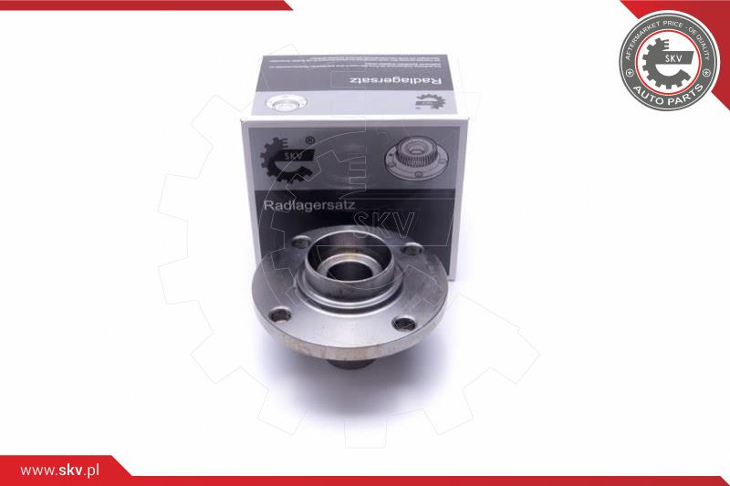 ESEN SKV Radlagersatz