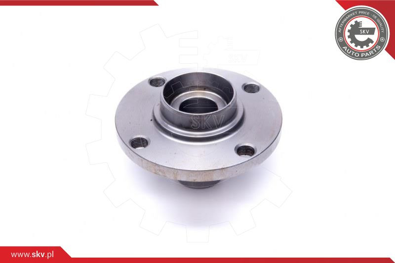ESEN SKV Radlagersatz