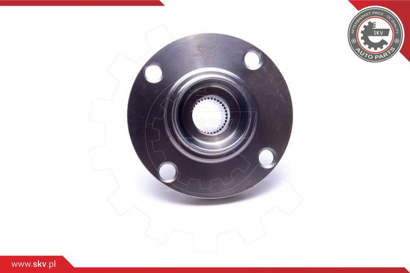 ESEN SKV Radlagersatz