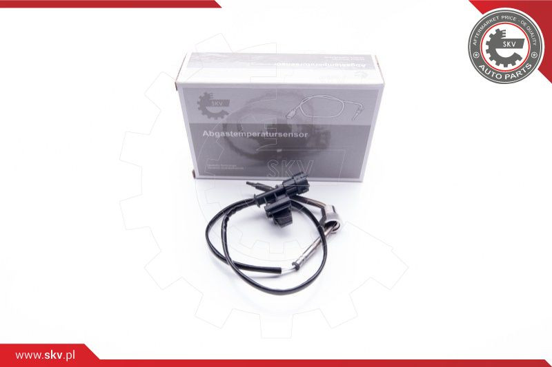 ESEN SKV Sensor, Abgastemperatur
