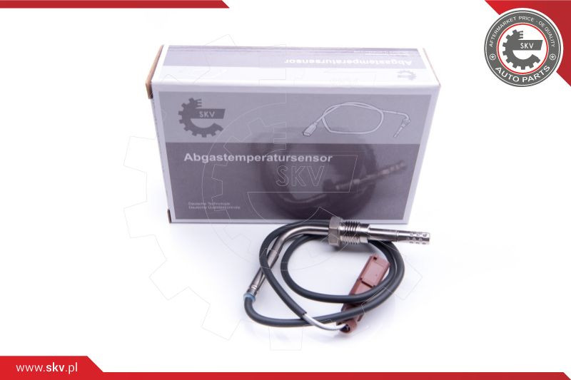 ESEN SKV Sensor, Abgastemperatur