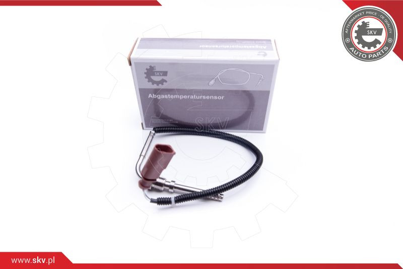 ESEN SKV Sensor, Abgastemperatur