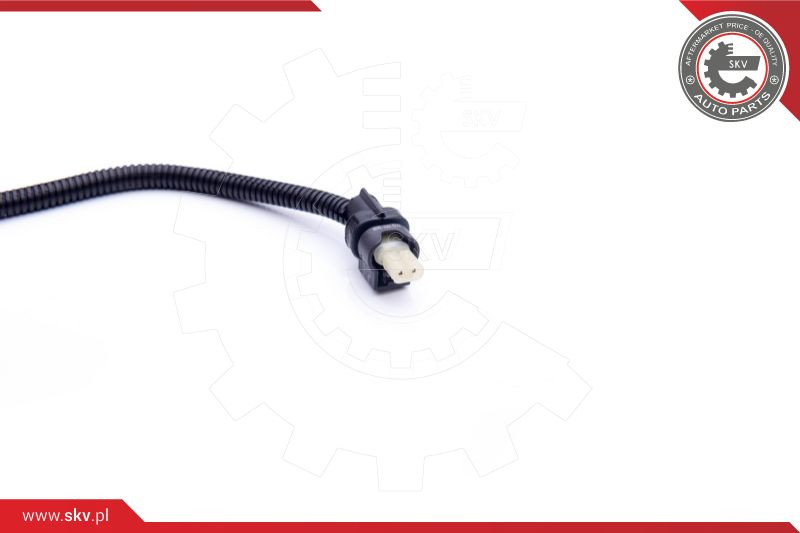 ESEN SKV Sensor, Abgastemperatur