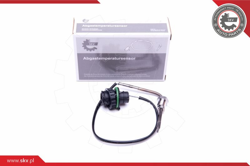 ESEN SKV Sensor, Abgastemperatur