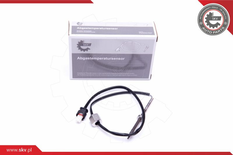 ESEN SKV Sensor, Abgastemperatur