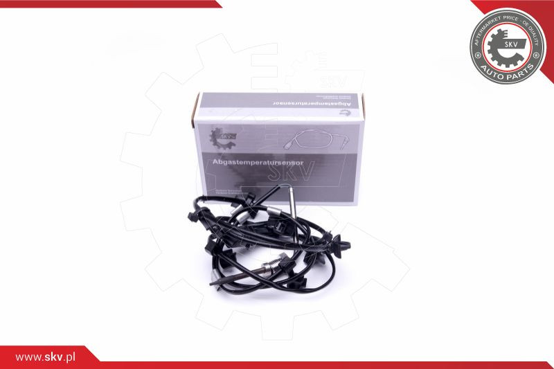 ESEN SKV Sensor, Abgastemperatur