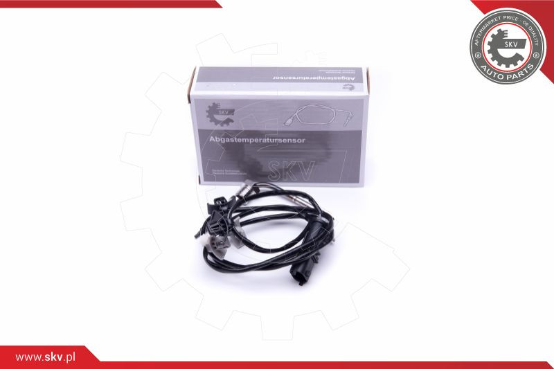 ESEN SKV Sensor, Abgastemperatur