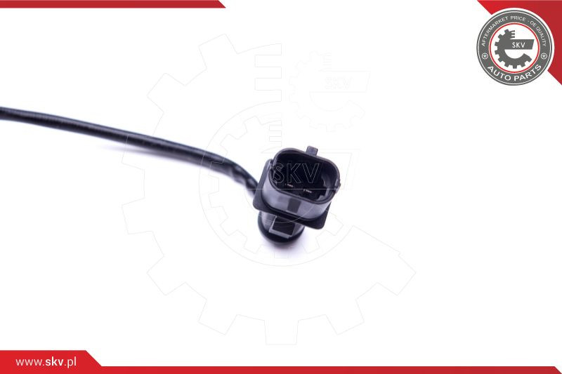 ESEN SKV Sensor, Abgastemperatur