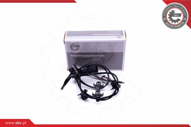 ESEN SKV Sensor, Abgastemperatur