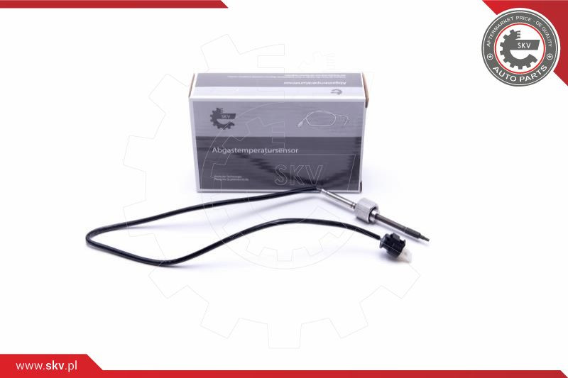 ESEN SKV Sensor, Abgastemperatur