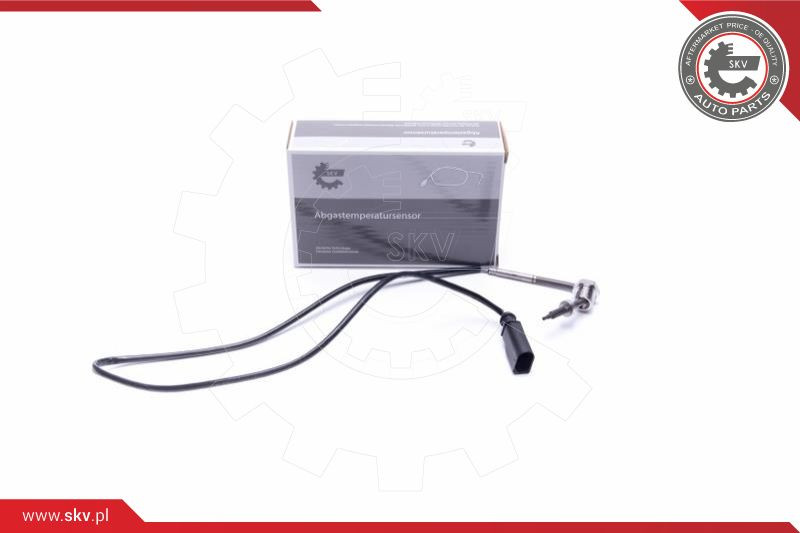 ESEN SKV Sensor, Abgastemperatur