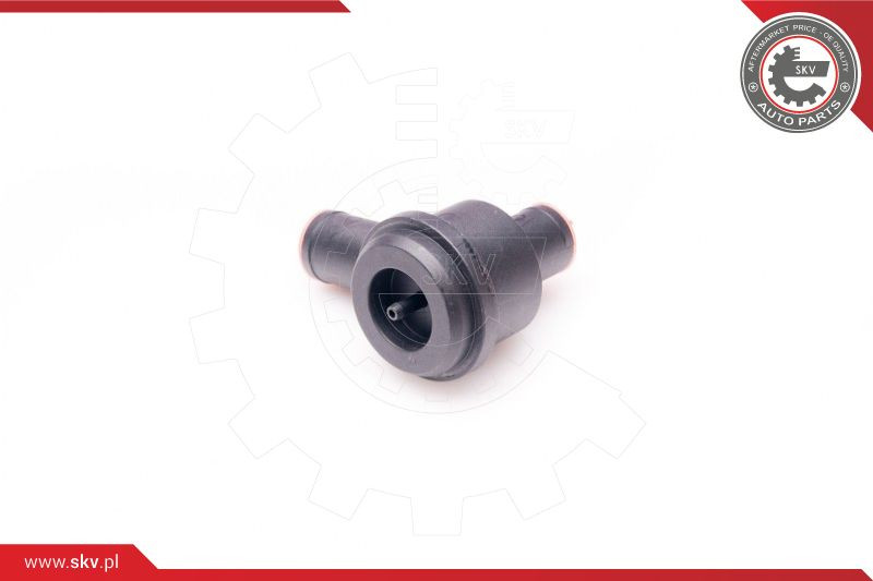 ESEN SKV Ventil, Kurbelgehäuseentlüftung