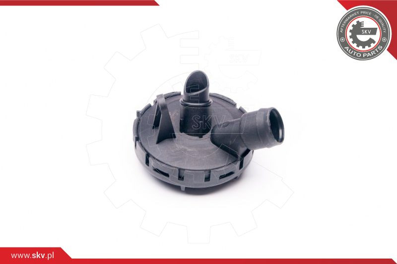 ESEN SKV Ventil, Kurbelgehäuseentlüftung