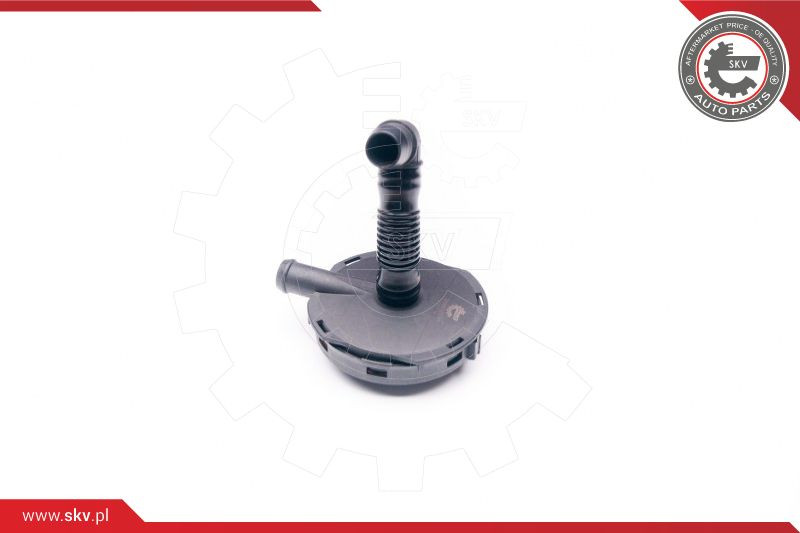 ESEN SKV Ventil, Kurbelgehäuseentlüftung