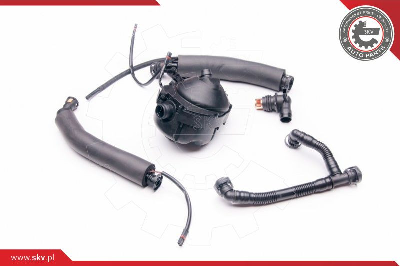 ESEN SKV Reparatursatz, Kurbelgehäuseentlüftung