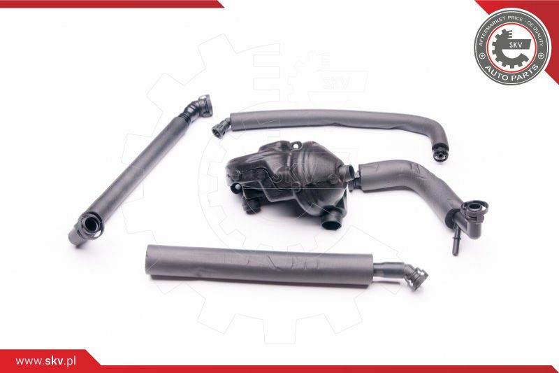 ESEN SKV Reparatursatz, Kurbelgehäuseentlüftung