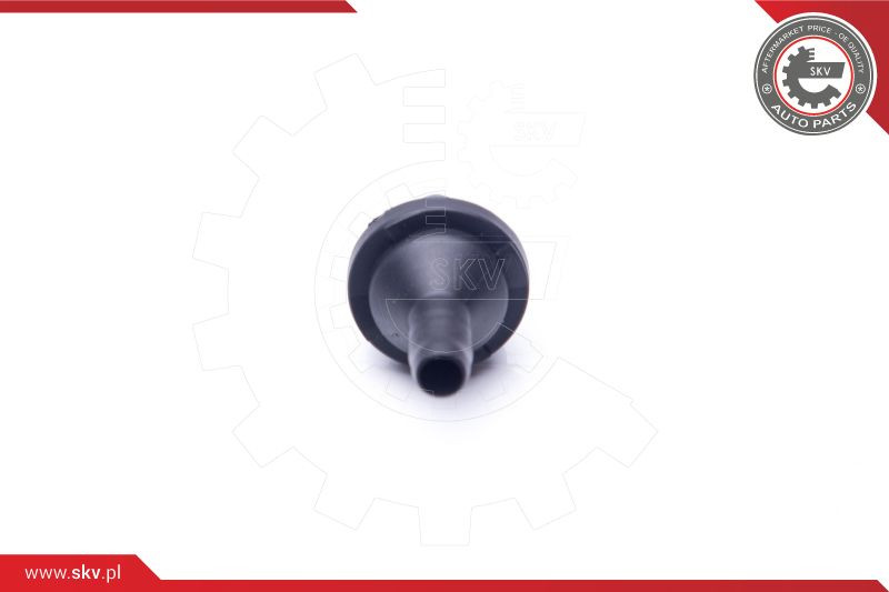 ESEN SKV Ventil, Kurbelgehäuseentlüftung