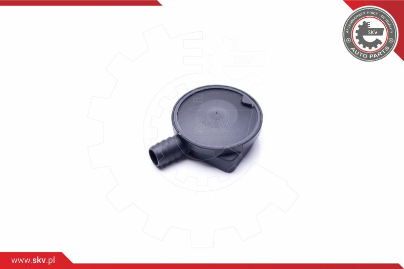 ESEN SKV Ventil, Kurbelgehäuseentlüftung