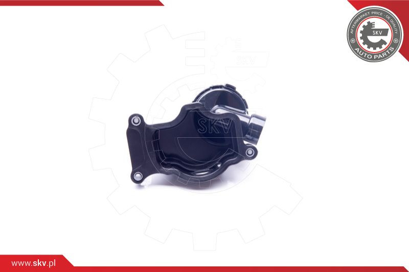 ESEN SKV Ventil, Kurbelgehäuseentlüftung