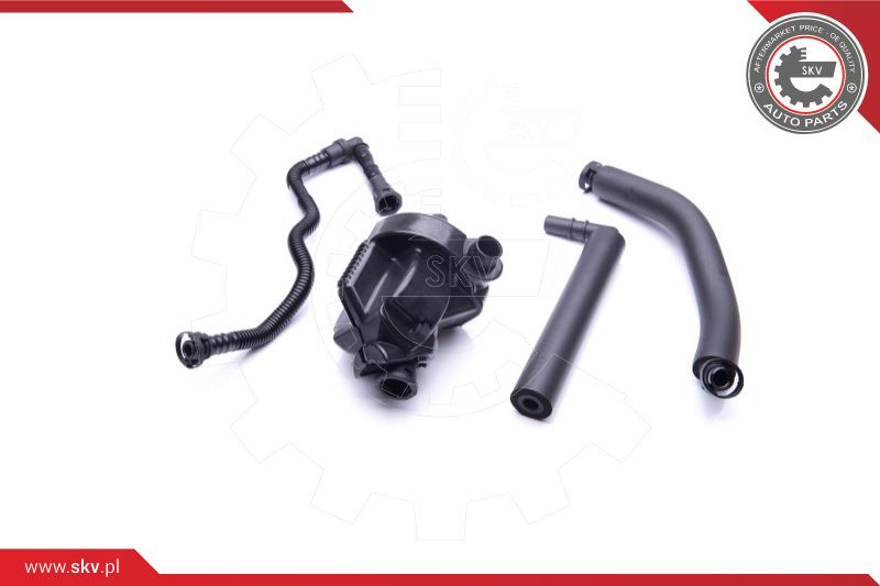 ESEN SKV Reparatursatz, Kurbelgehäuseentlüftung