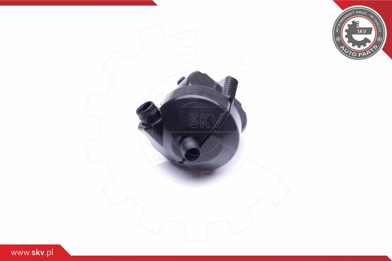 ESEN SKV Reparatursatz, Kurbelgehäuseentlüftung