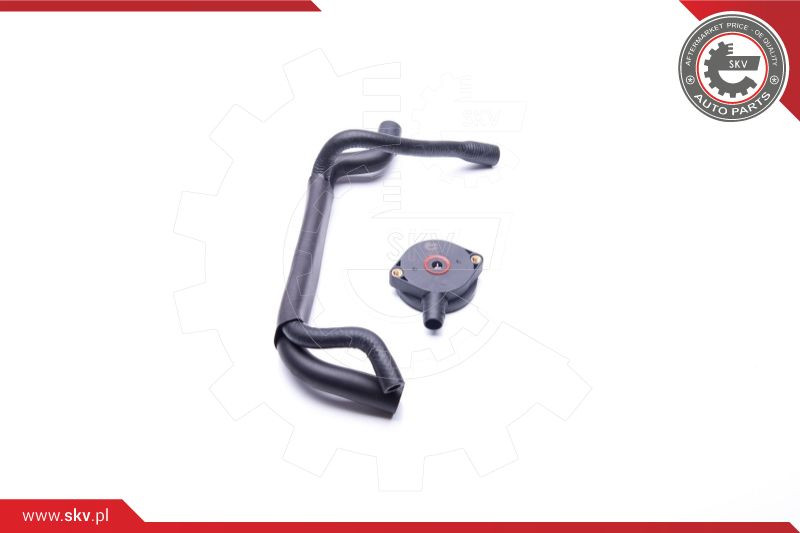 ESEN SKV Reparatursatz, Kurbelgehäuseentlüftung