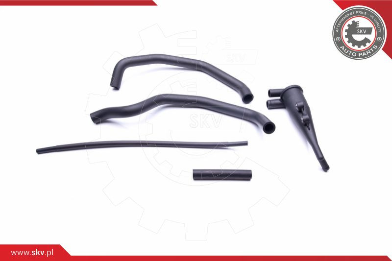 ESEN SKV Reparatursatz, Kurbelgehäuseentlüftung