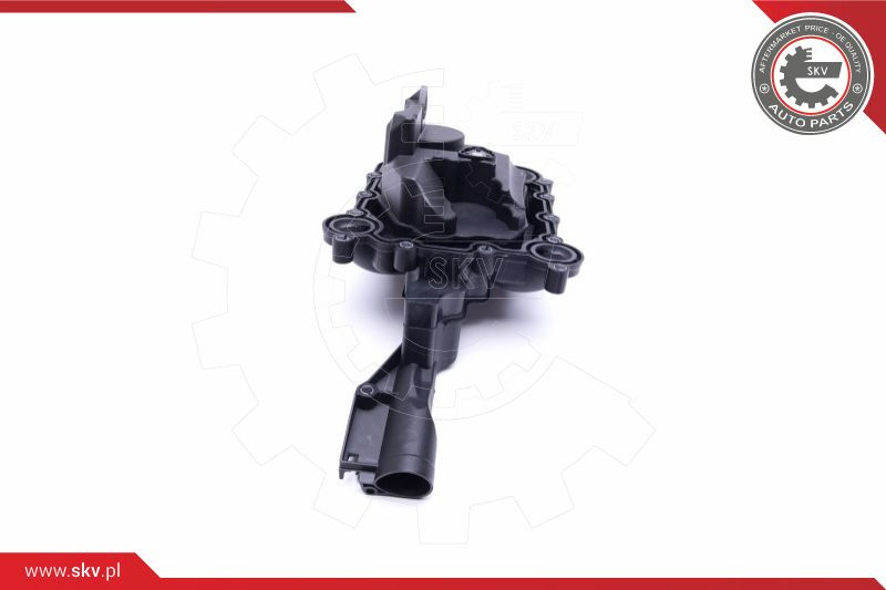 ESEN SKV Ventil, Kurbelgehäuseentlüftung