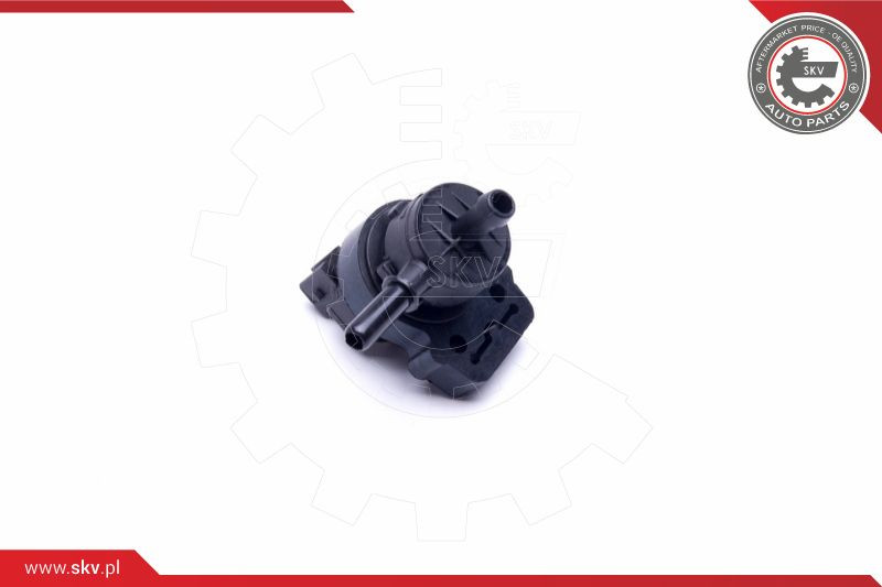 ESEN SKV Ventil, Kurbelgehäuseentlüftung