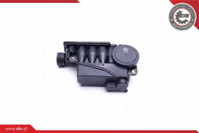 ESEN SKV Reparatursatz, Kurbelgehäuseentlüftung