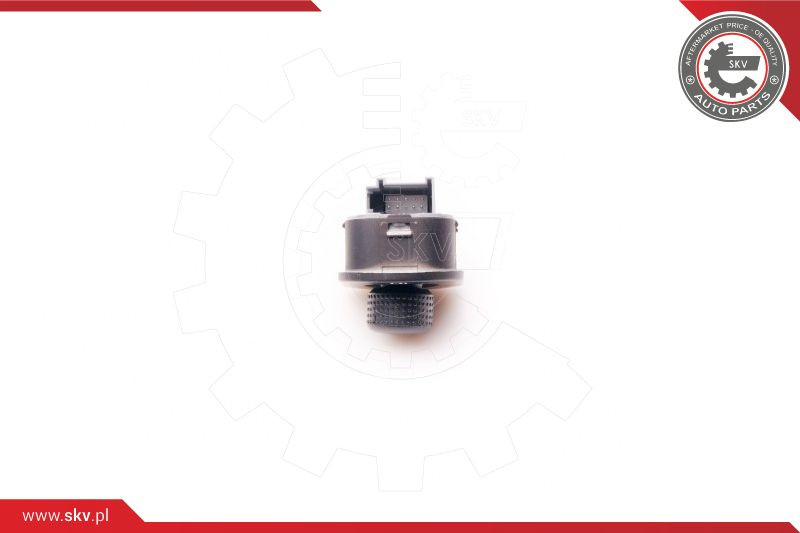 ESEN SKV Schalter, Spiegelverstellung