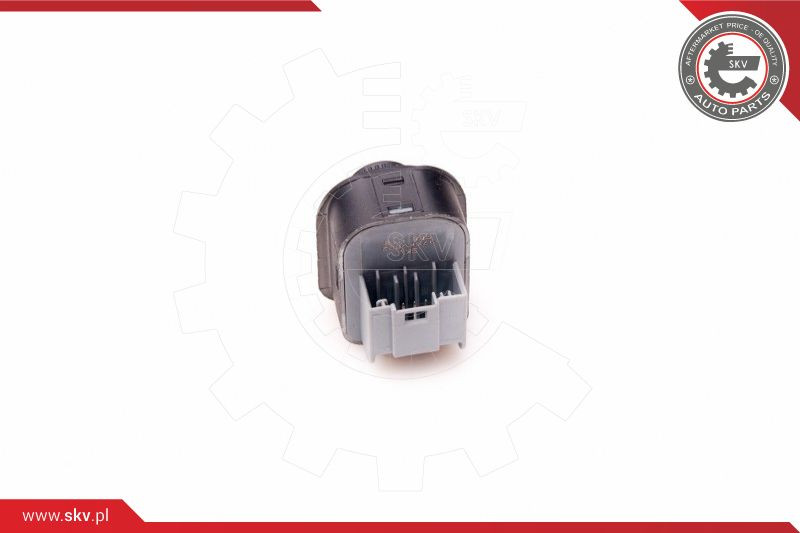 ESEN SKV Schalter, Spiegelverstellung