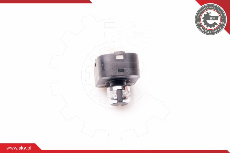 ESEN SKV Schalter, Spiegelverstellung