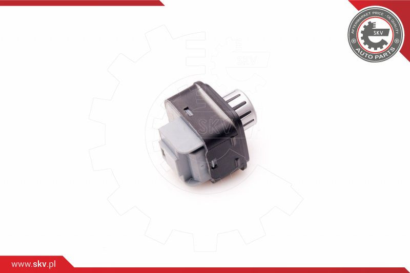 ESEN SKV Schalter, Spiegelverstellung