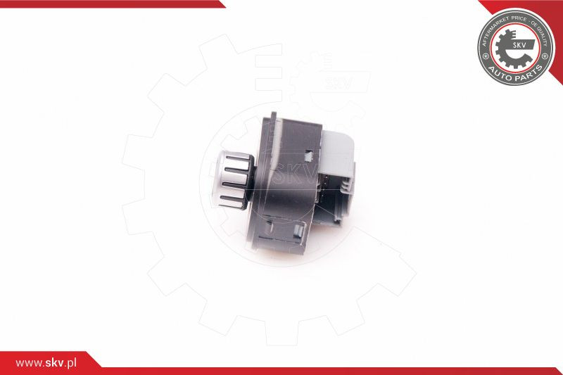 ESEN SKV Schalter, Spiegelverstellung