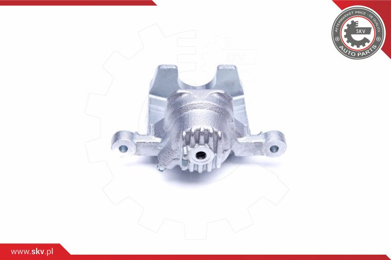 ESEN SKV Bremssattel