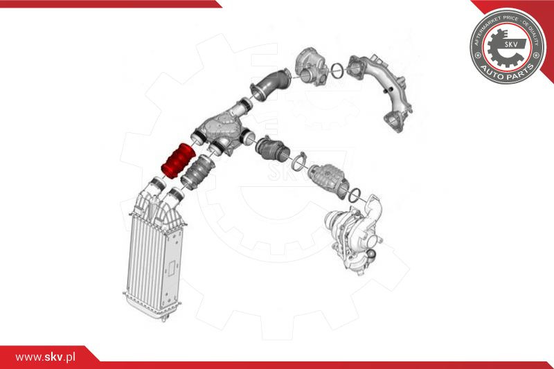 ESEN SKV Ladeluftschlauch