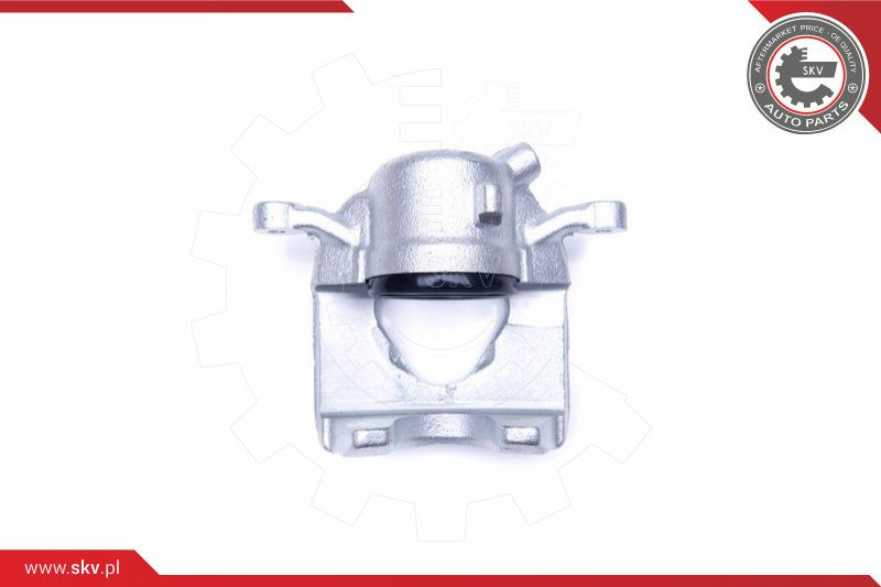 ESEN SKV Bremssattel