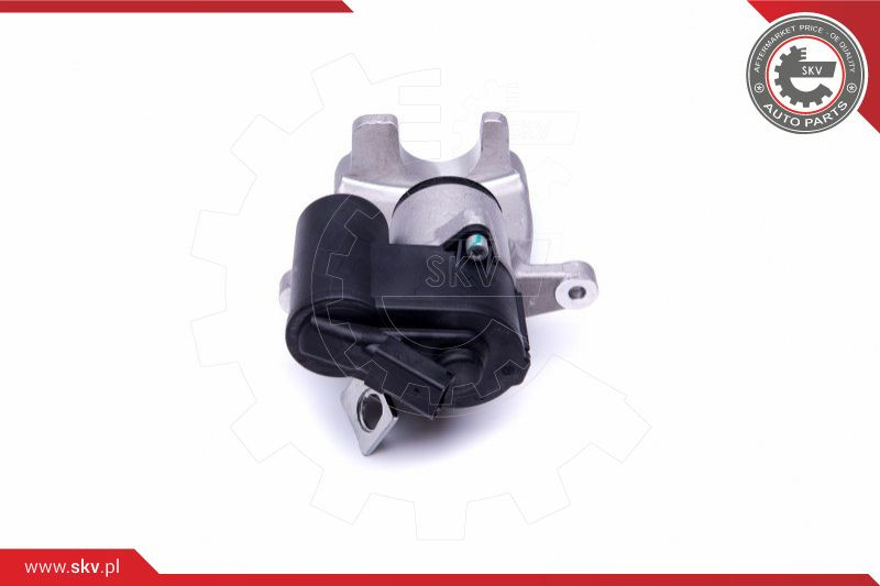 ESEN SKV Bremssattel