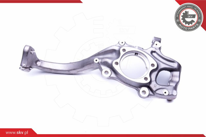 ESEN SKV Achsschenkel, Radaufhängung