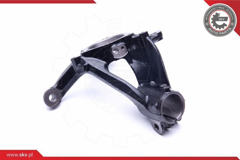 ESEN SKV Achsschenkel, Radaufhängung