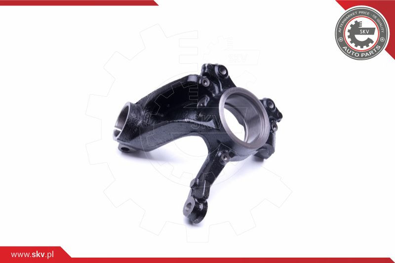 ESEN SKV Achsschenkel, Radaufhängung