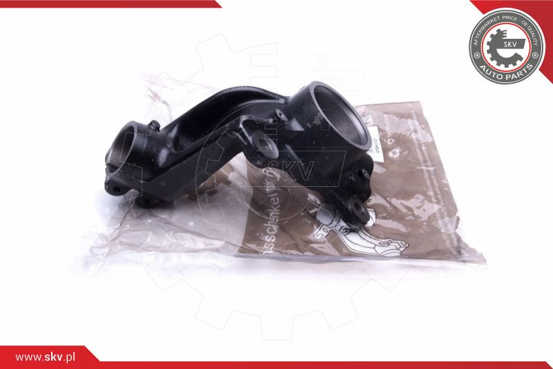 ESEN SKV Achsschenkel, Radaufhängung