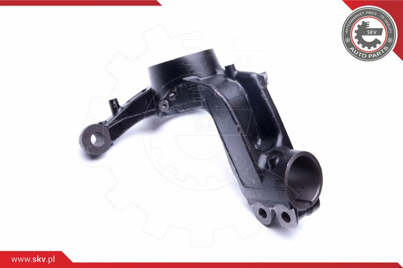 ESEN SKV Achsschenkel, Radaufhängung