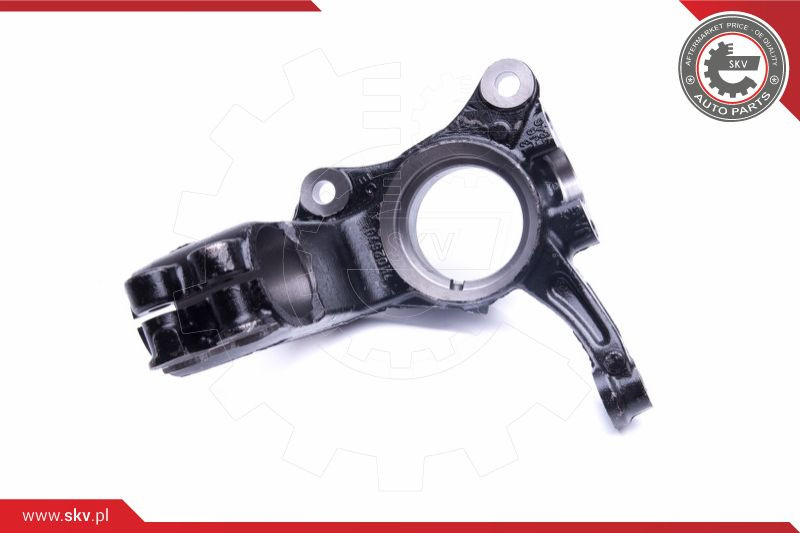 ESEN SKV Achsschenkel, Radaufhängung