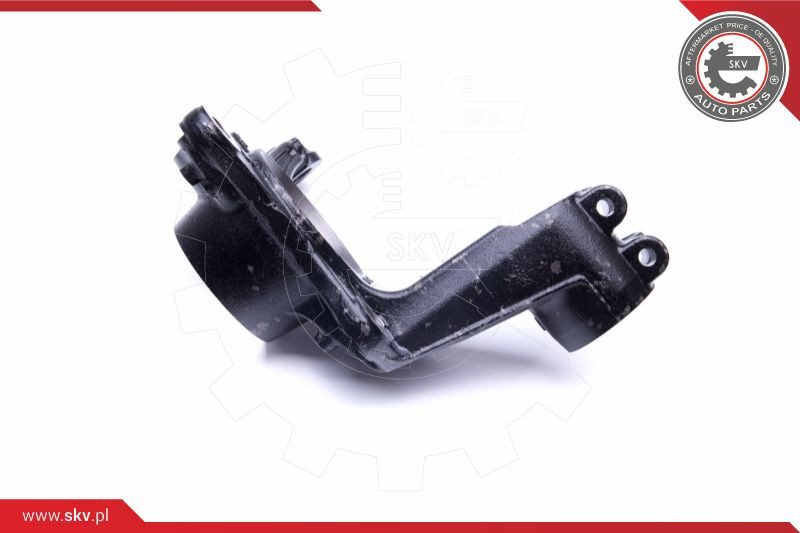 ESEN SKV Achsschenkel, Radaufhängung