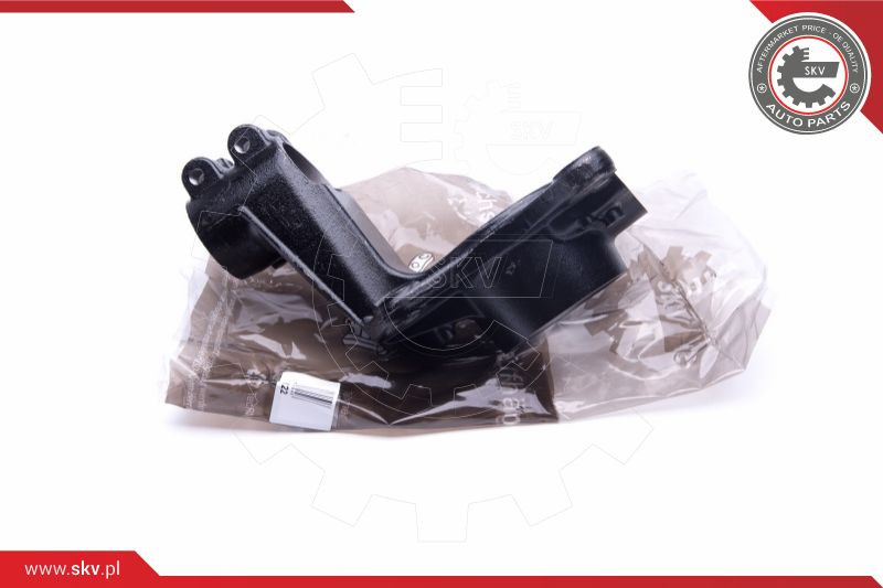 ESEN SKV Achsschenkel, Radaufhängung