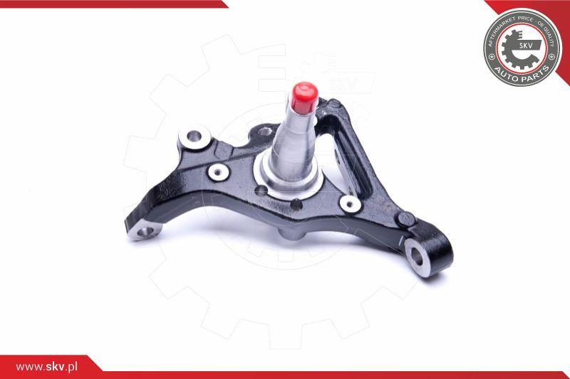 ESEN SKV Achsschenkel, Radaufhängung