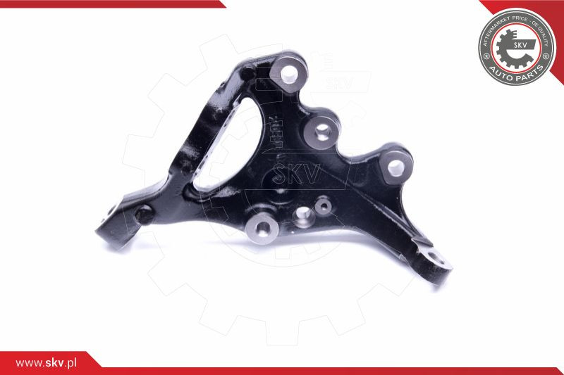 ESEN SKV Achsschenkel, Radaufhängung